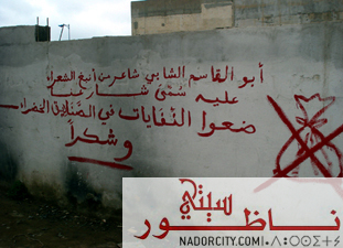 aboualkasem chabi.jpg