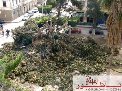 achjar01.jpg