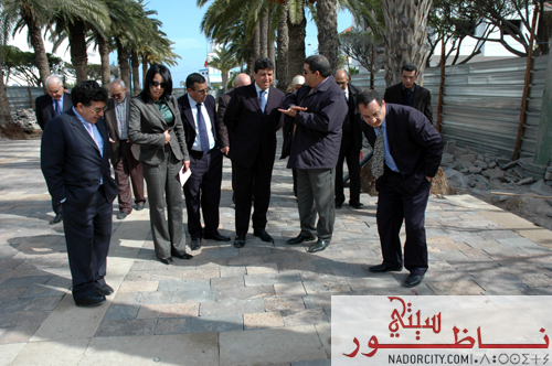 al3amillll06.jpg