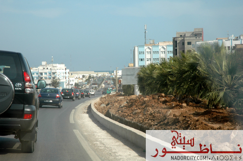al3amillll12.jpg