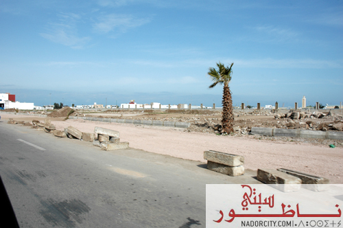 al3amillll13.jpg