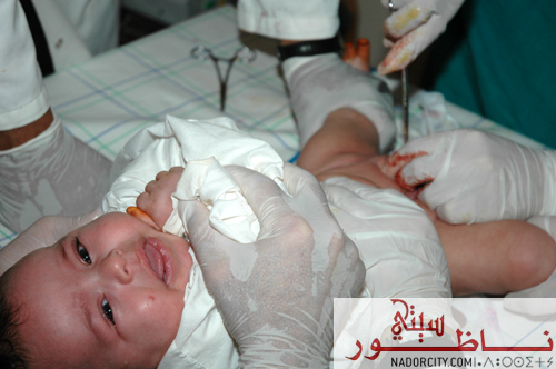 alamal04.jpg