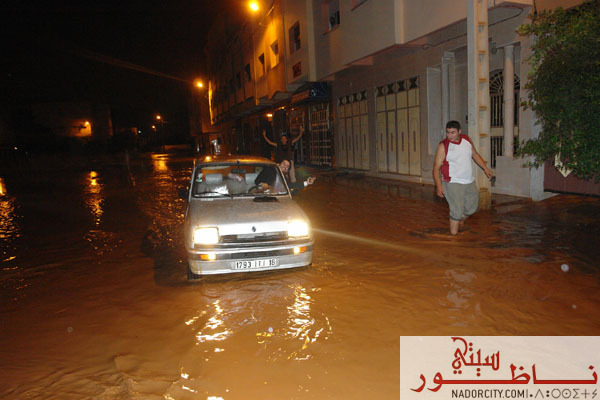 alfayadafarrid10.jpg