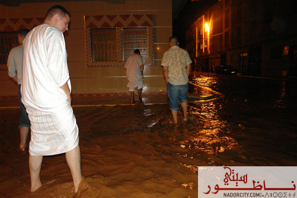 alfayadafarrid11.jpg