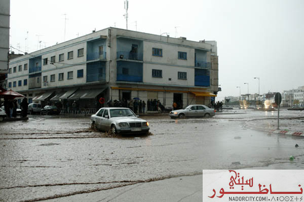alfayadananador5.jpg