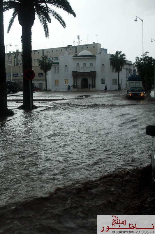 alfayadananador18.jpg