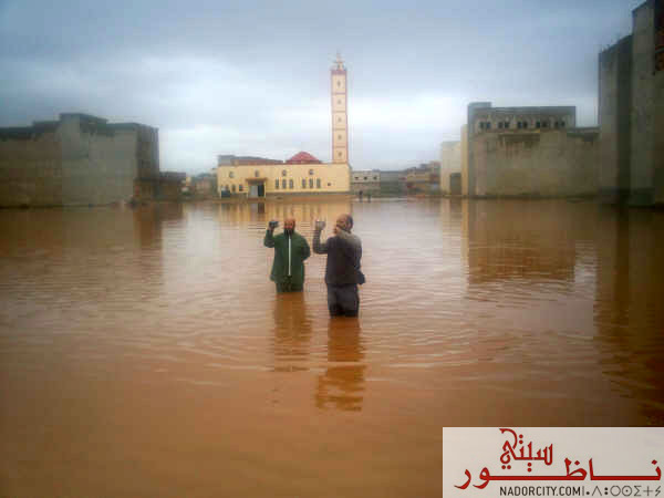 alfayadanaroui7.jpg