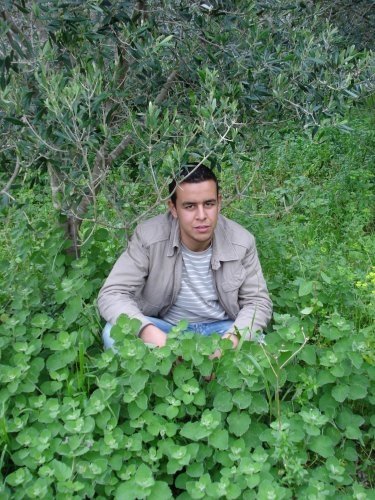 Abdellah in Bni marghnine temsamne